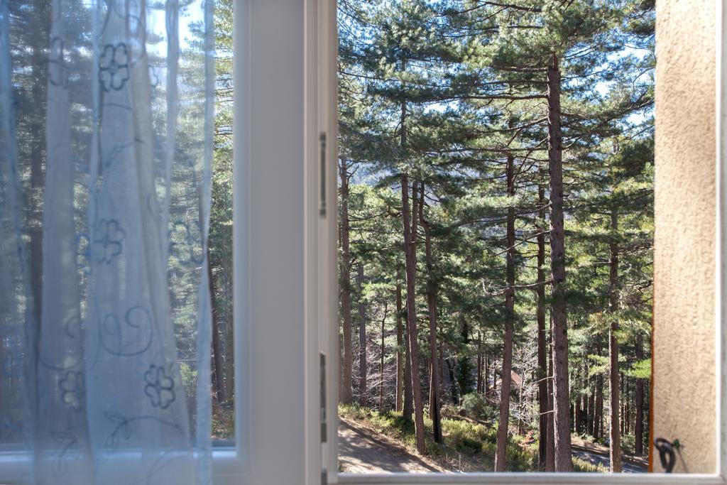 Bed and Breakfast Casa Alta Віззавона Номер фото