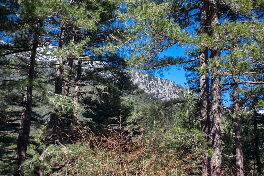 Bed and Breakfast Casa Alta Віззавона Номер фото