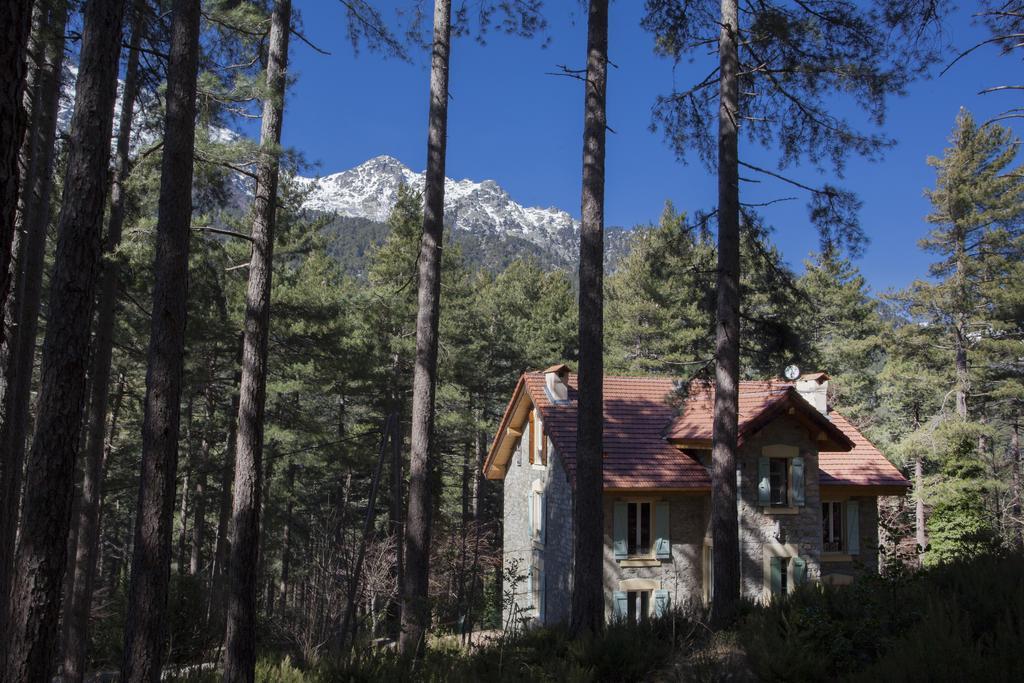 Bed and Breakfast Casa Alta Віззавона Екстер'єр фото